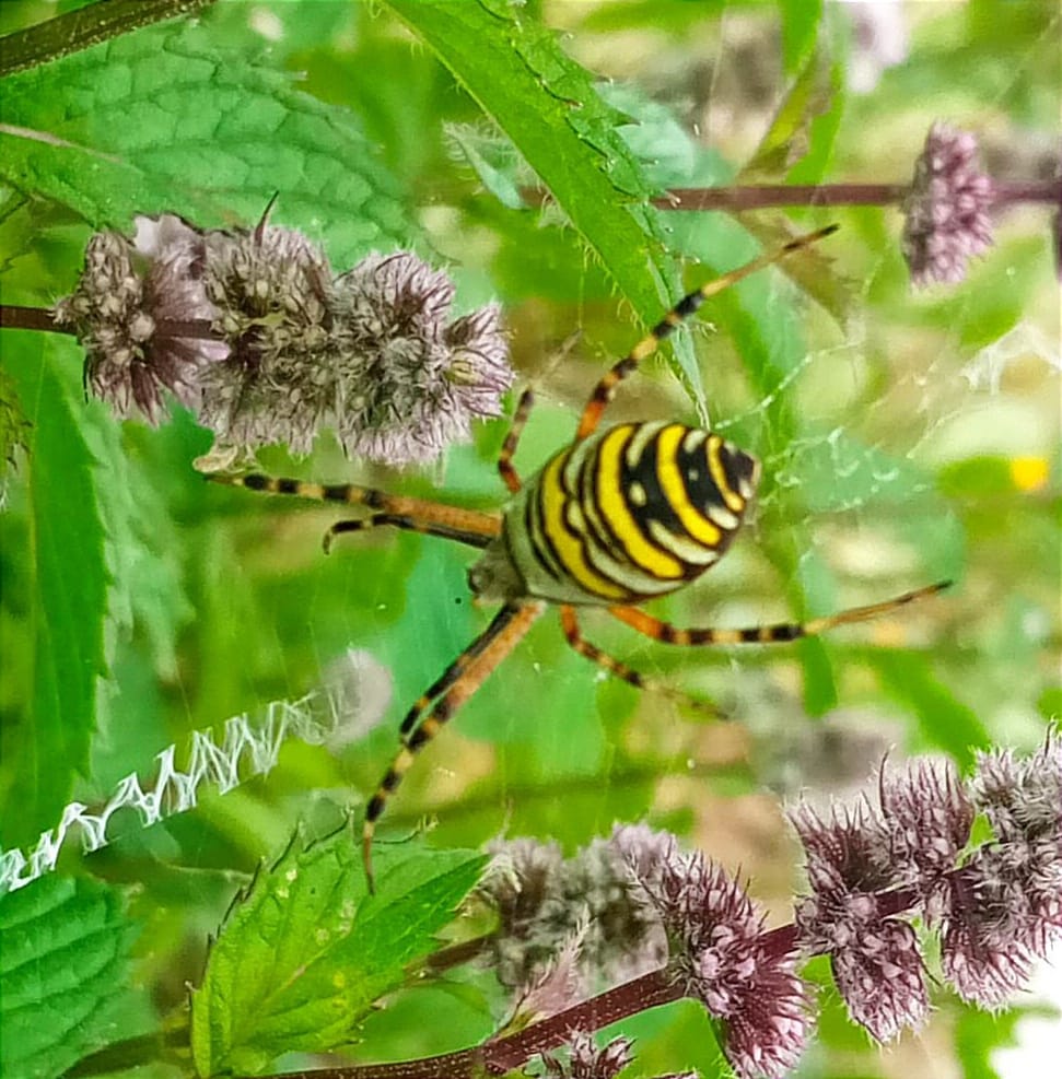 JPEG - 150.4 ko